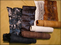 Responsive image